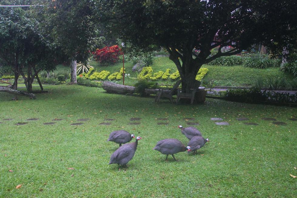 Hotel Villa Rawa Pening Pratama By Aparian Bandungan Ngoại thất bức ảnh